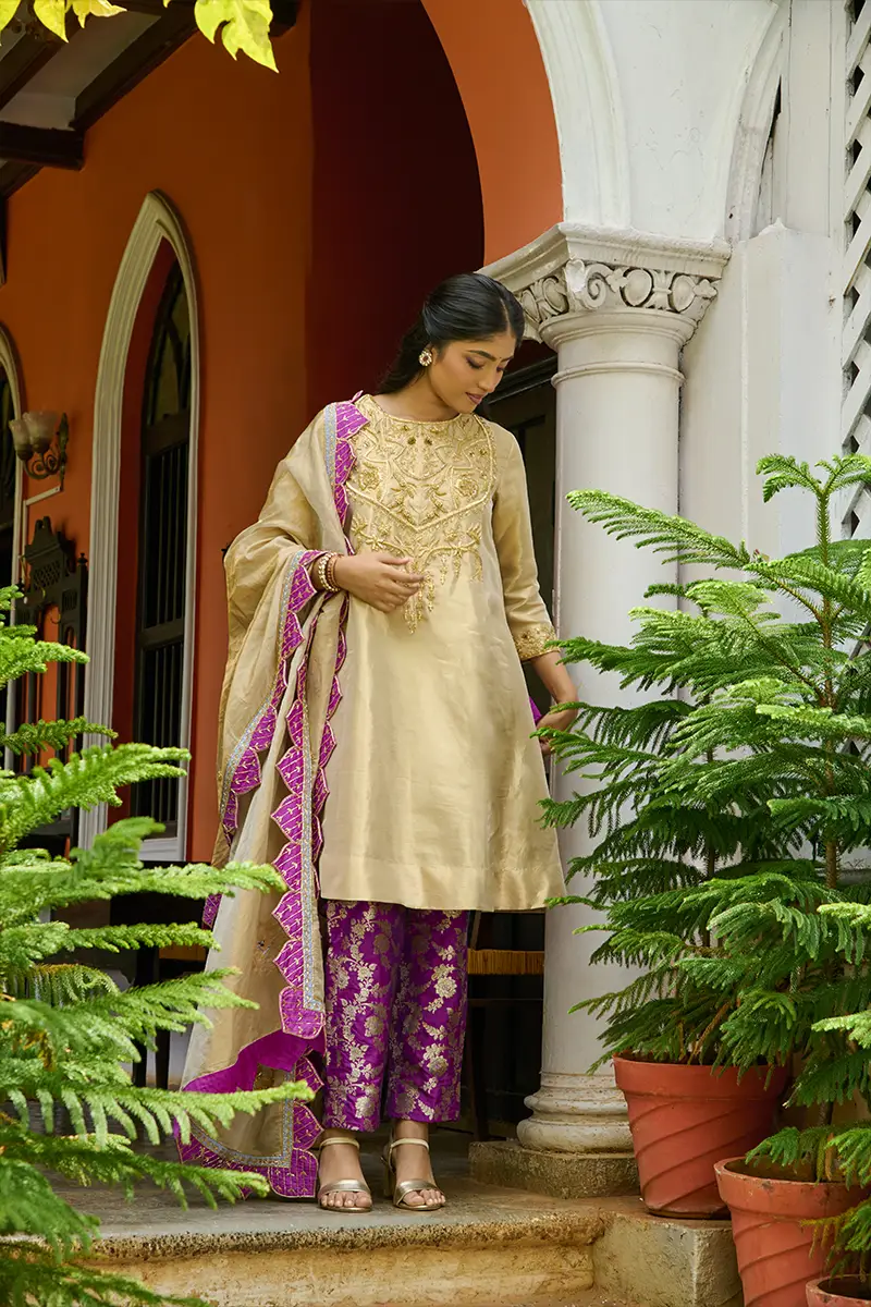 Golden Violet Majesty